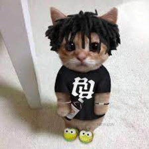 Meet your Posher, Count